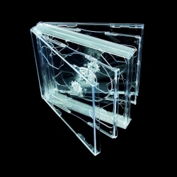 10 estuches transparentes...