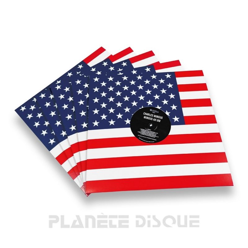 25 Pochettes carton avec trou 33T motif drapeau États-Unis