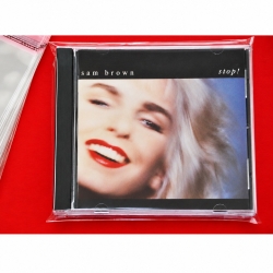 100 PP Sleeves with flap...